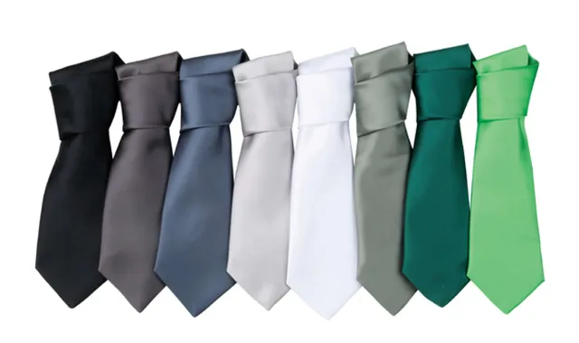 Premier 'colours Collection' szatén nyakkendő (PR750), modellen