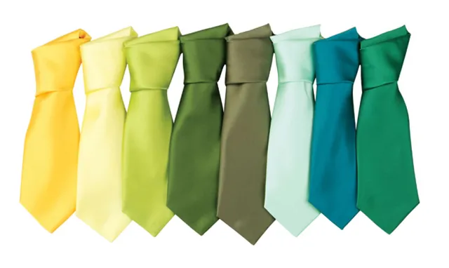 Premier 'colours Collection' szatén nyakkendő (PR750), modellen