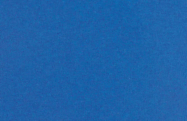 SOL'S June férfi rövidnadrág (01175), modellen